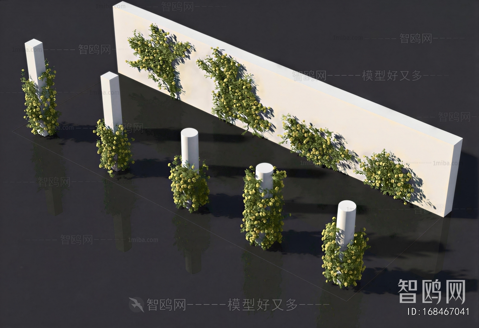 Modern Vine