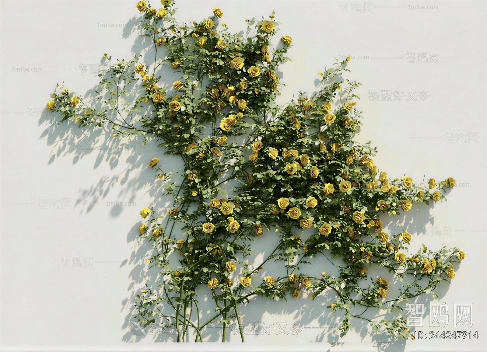 Modern Vine