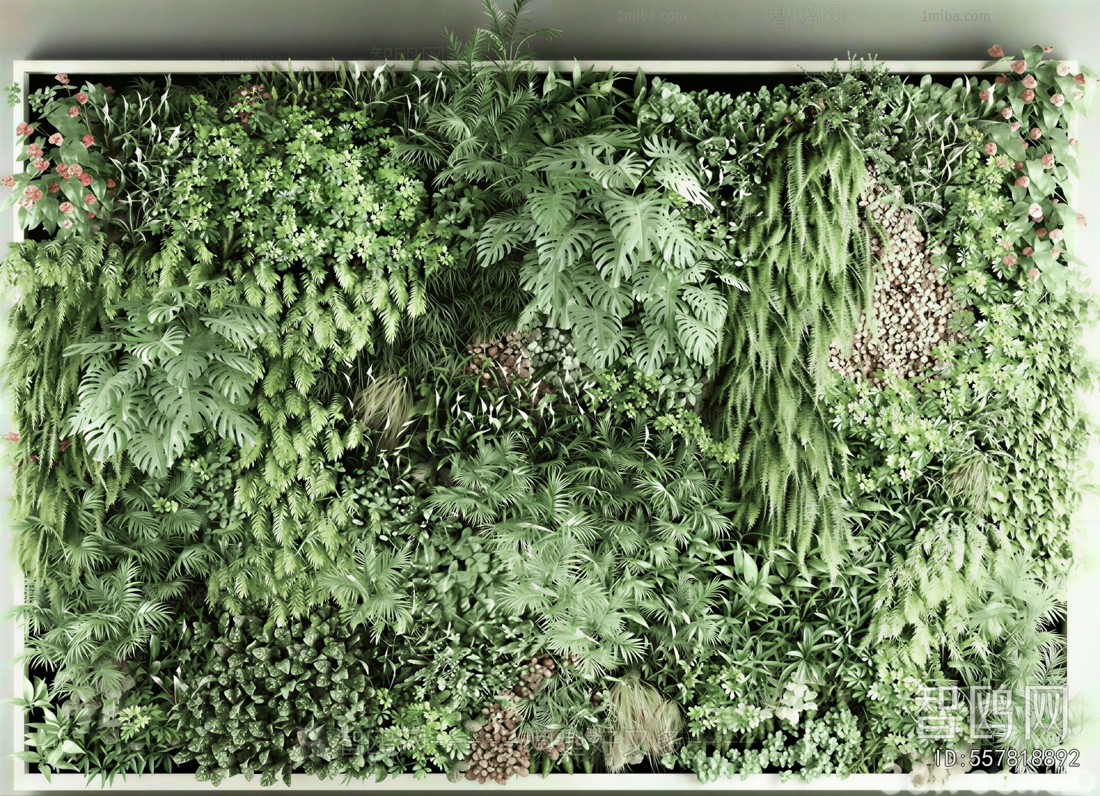 Modern Plant Wall