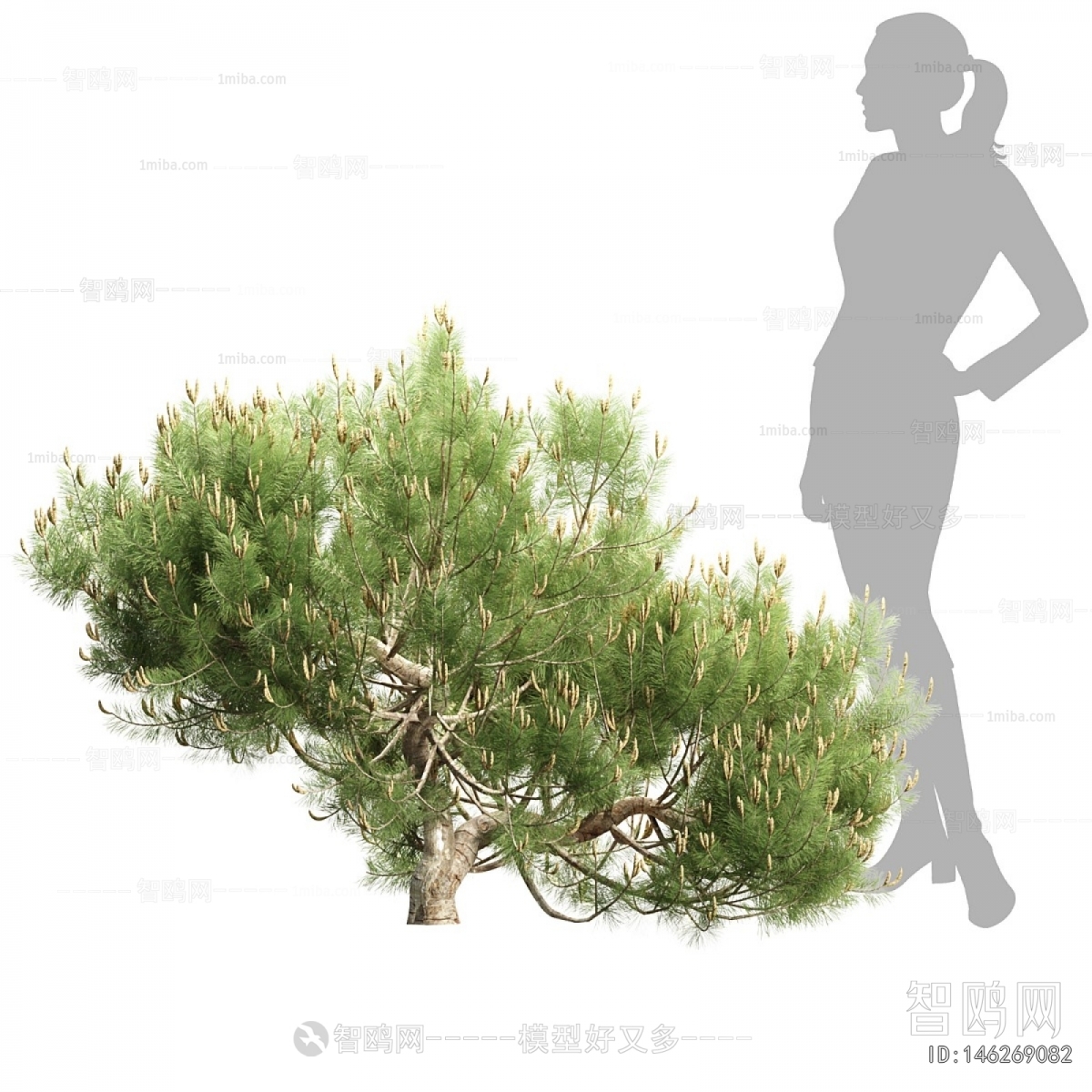 Modern Shrubbery