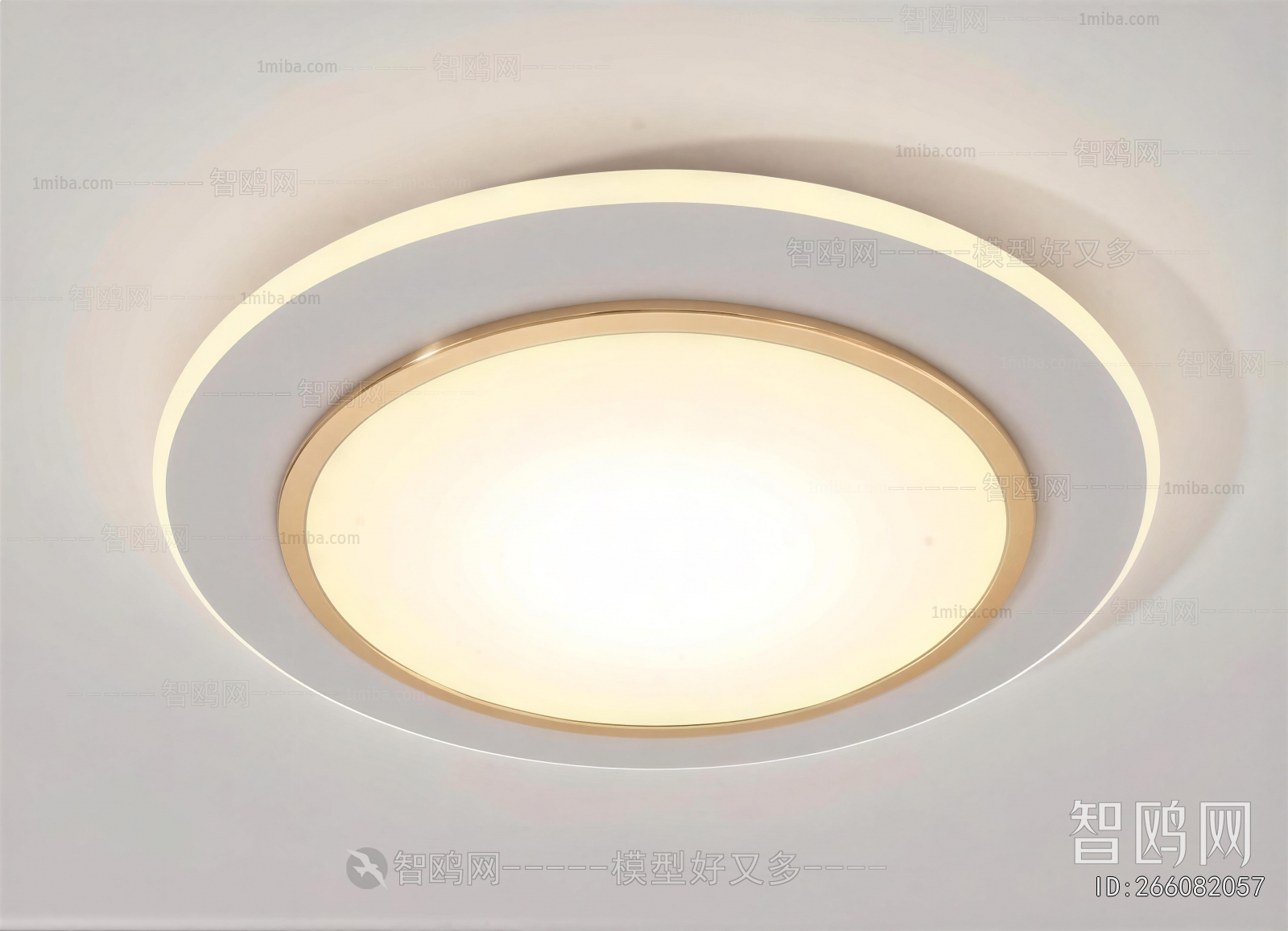 Modern Ceiling Ceiling Lamp