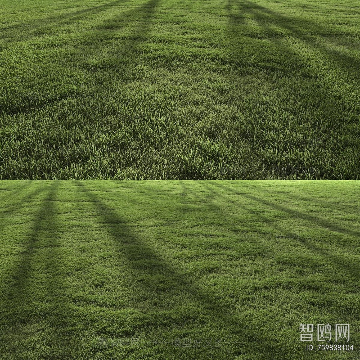 Modern The Grass