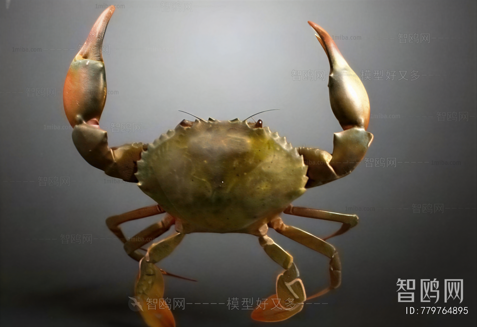 Modern Aquatic Animals