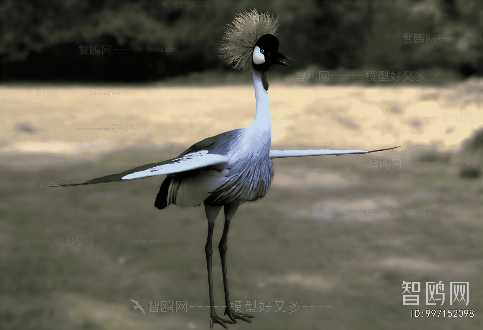 Modern Flying Animals