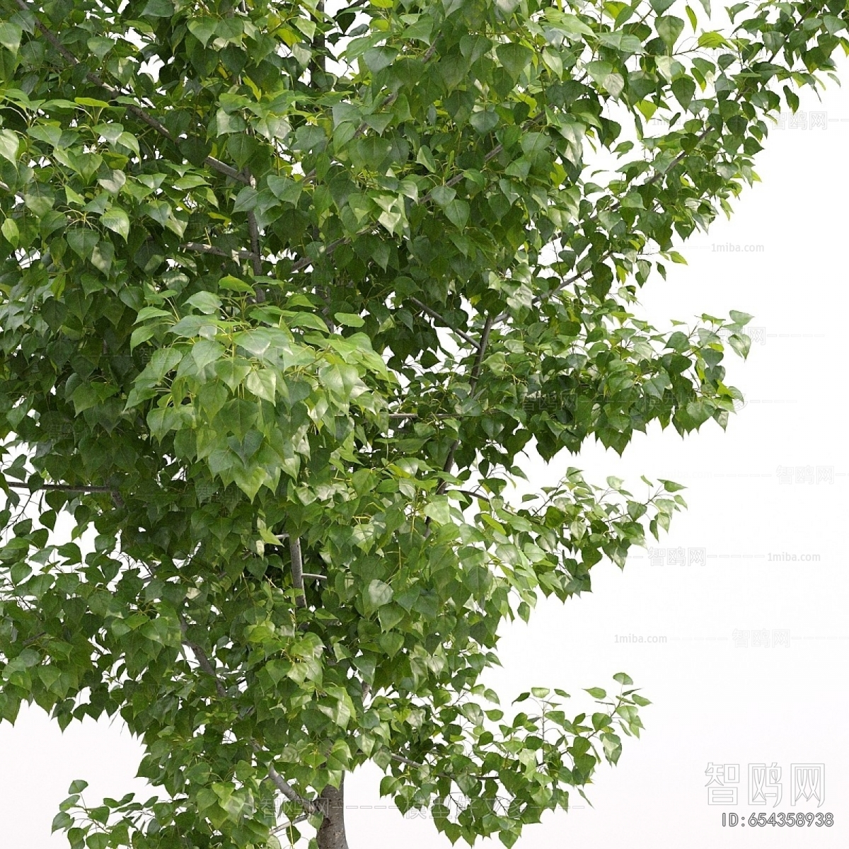 Modern Tree