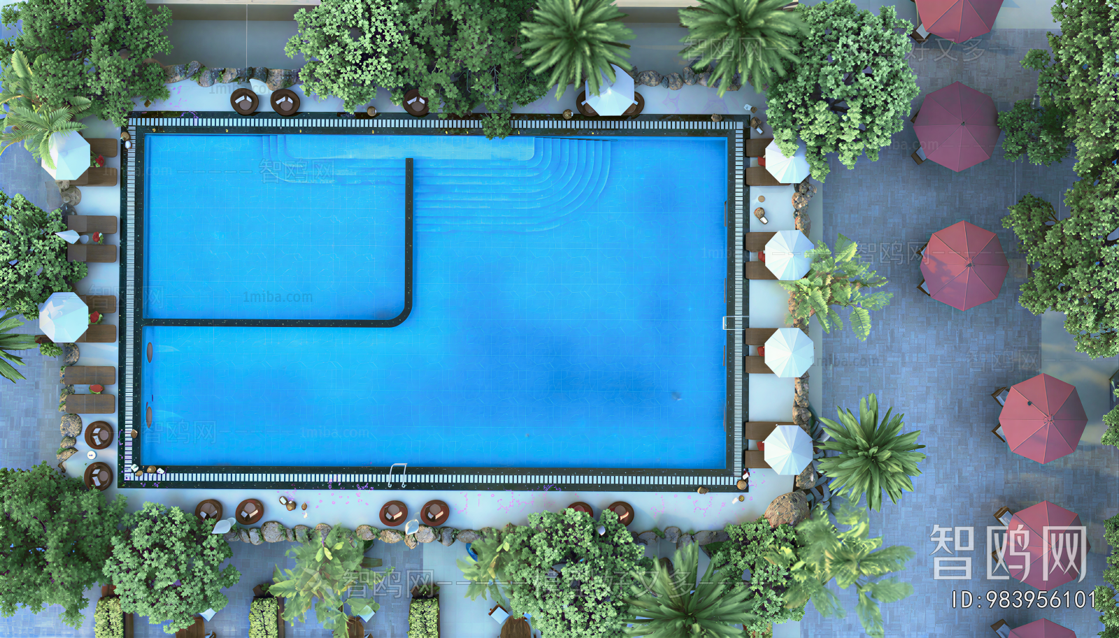 Modern Swimming Pool