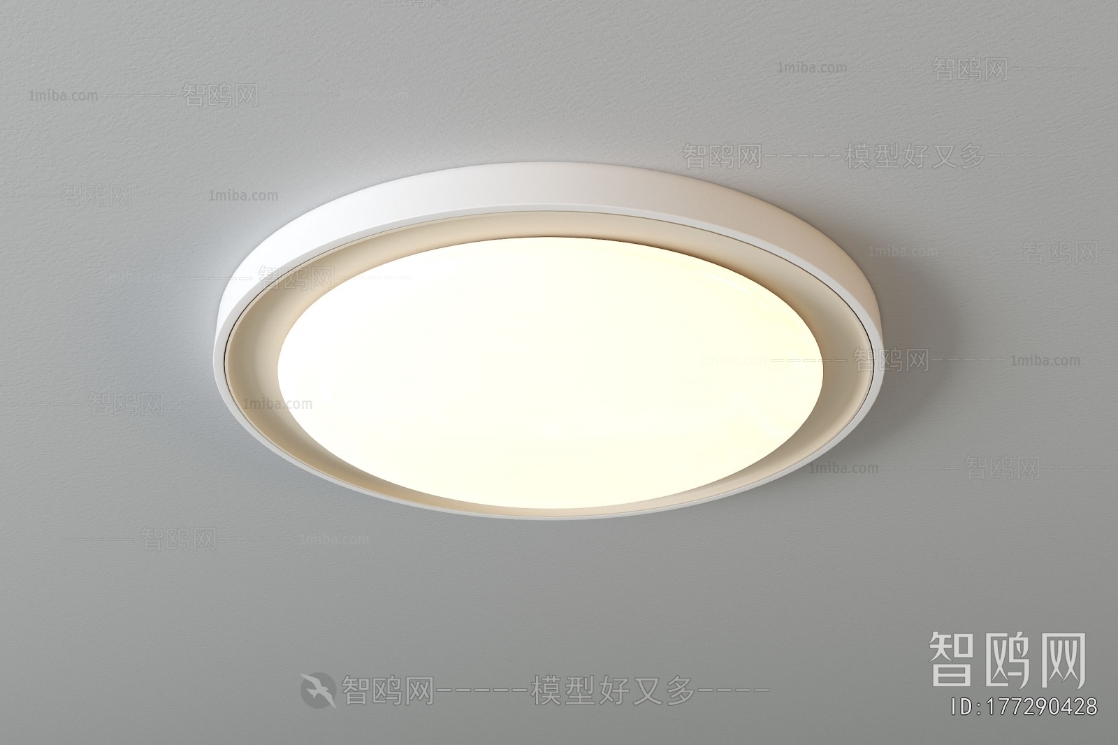 Modern Ceiling Ceiling Lamp