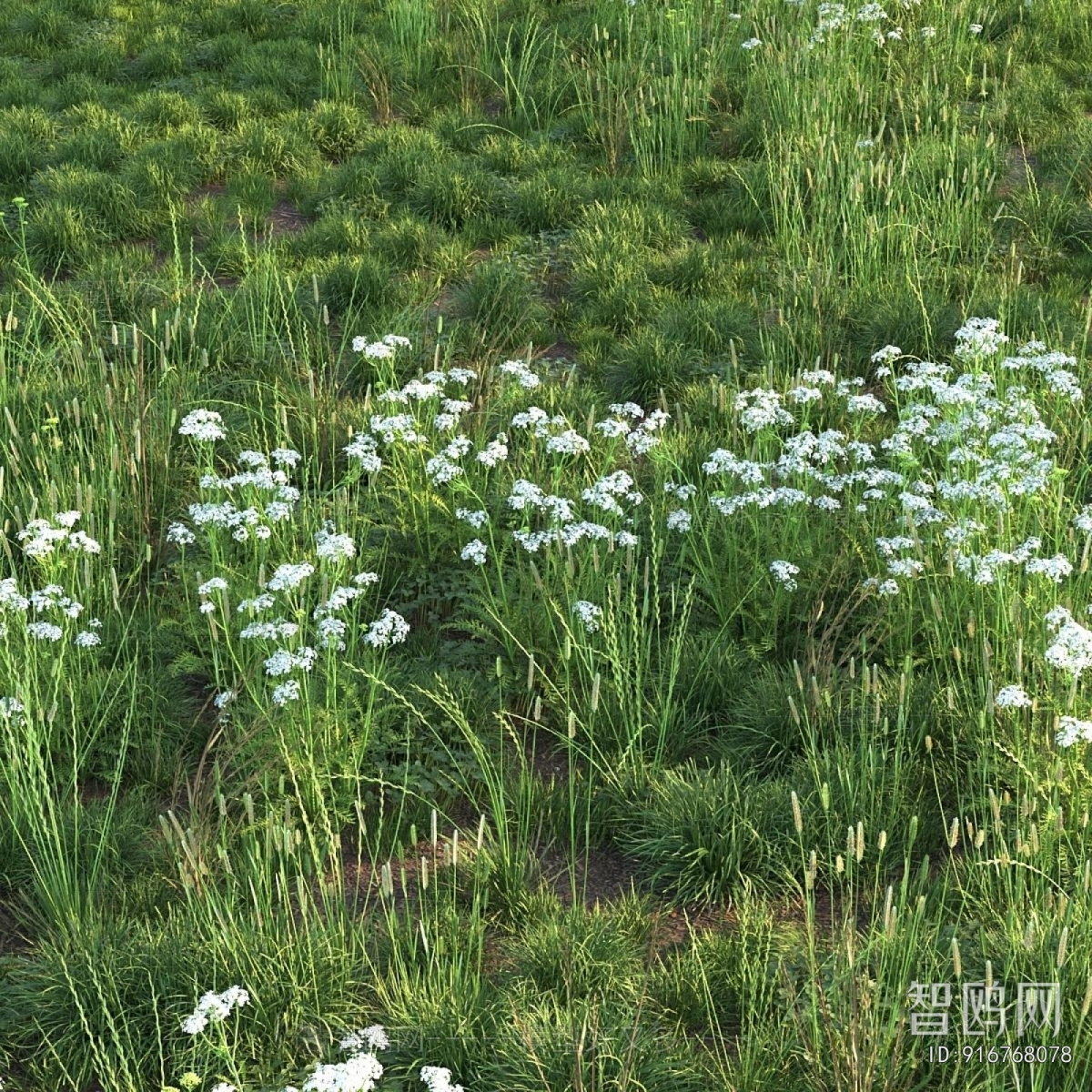 Modern Flowers And Grass