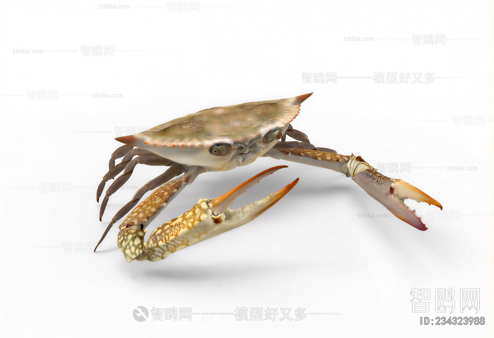 Modern Aquatic Product