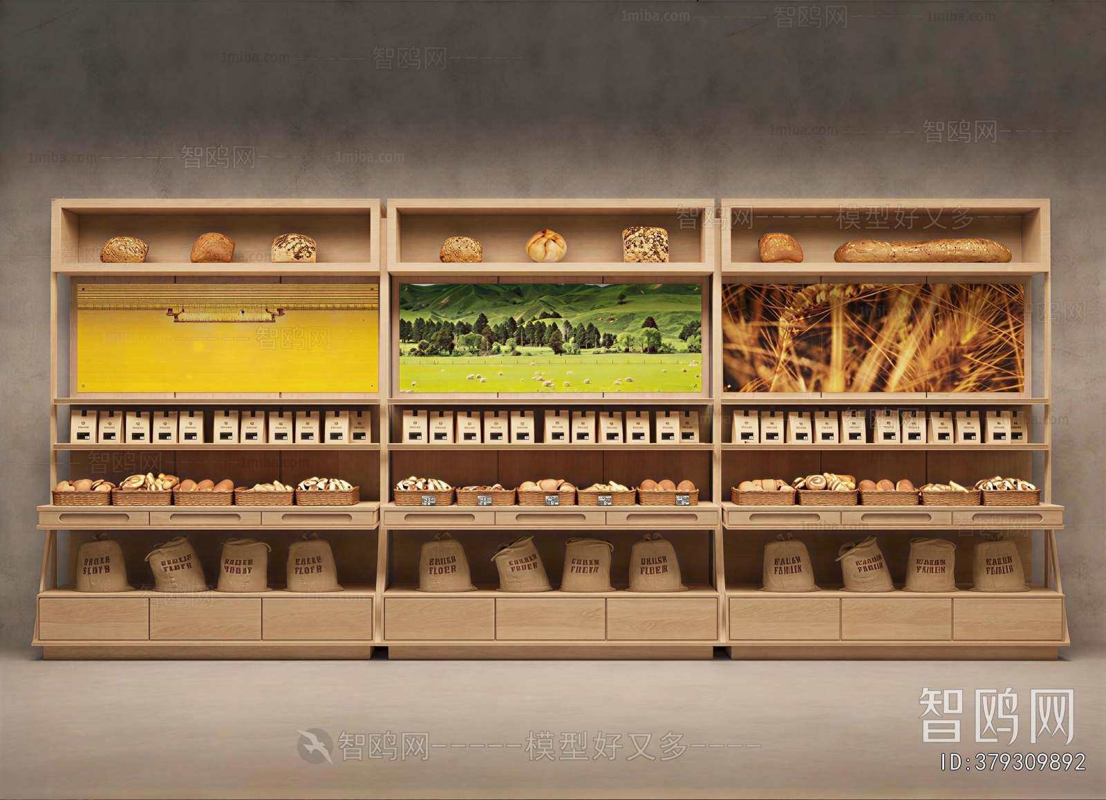 Modern Showcase