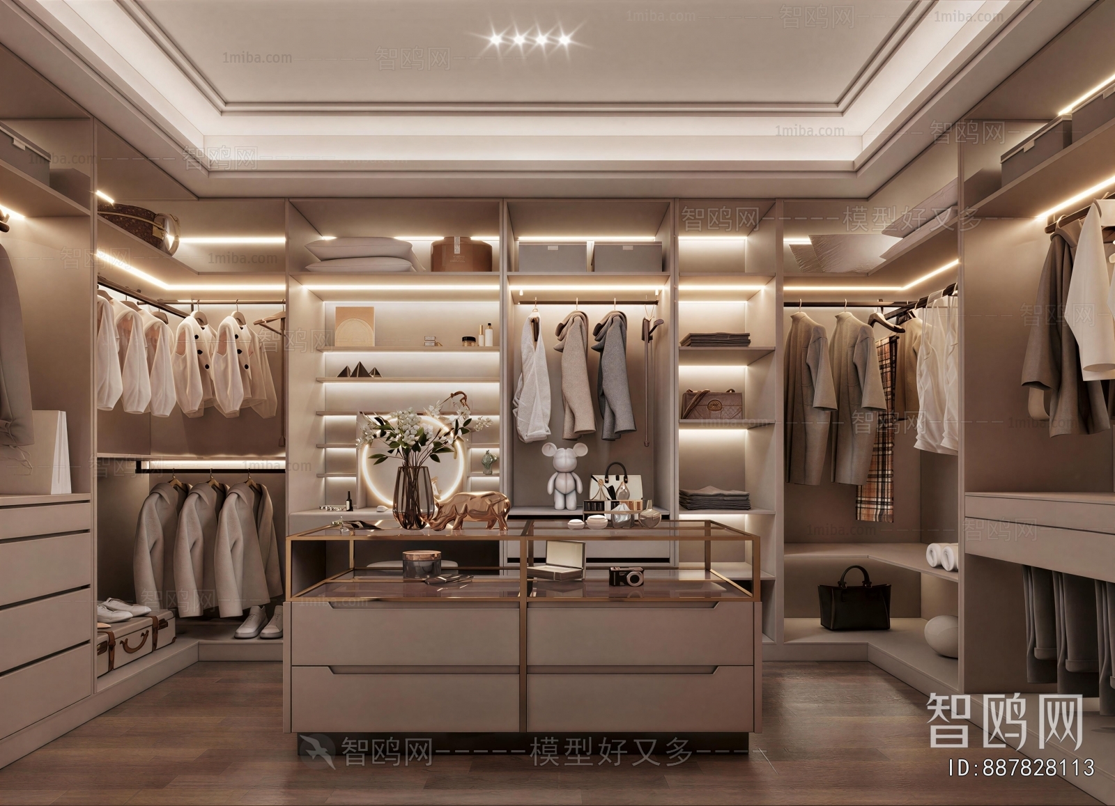 Modern Clothes Storage Area
