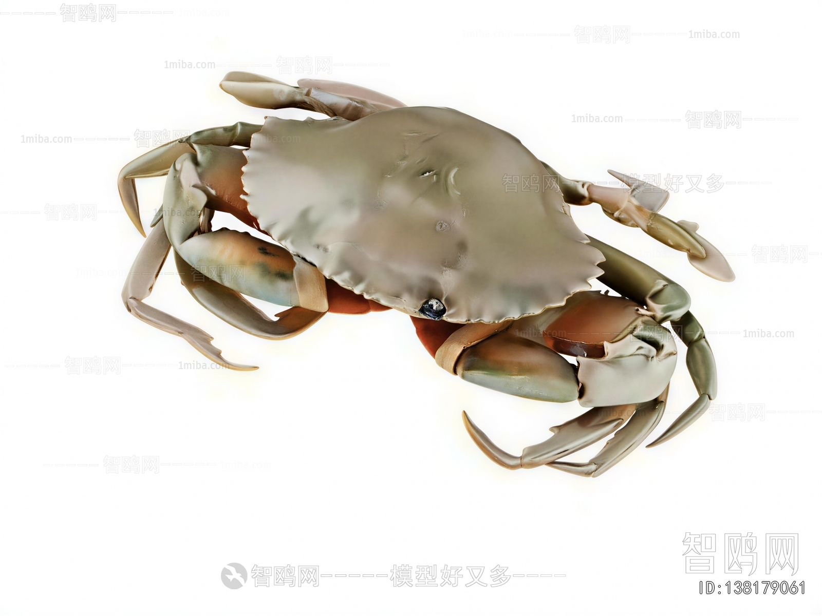 Modern Aquatic Animals