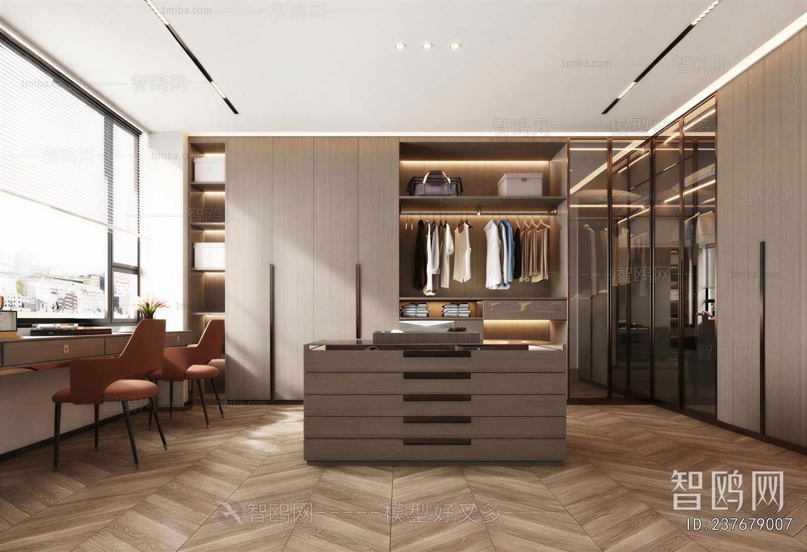 Modern Clothes Storage Area