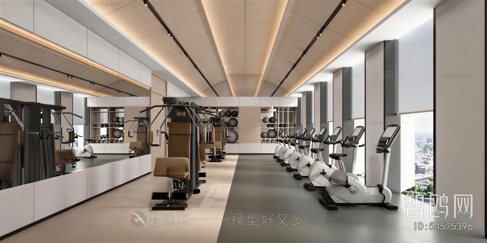 Modern Gym