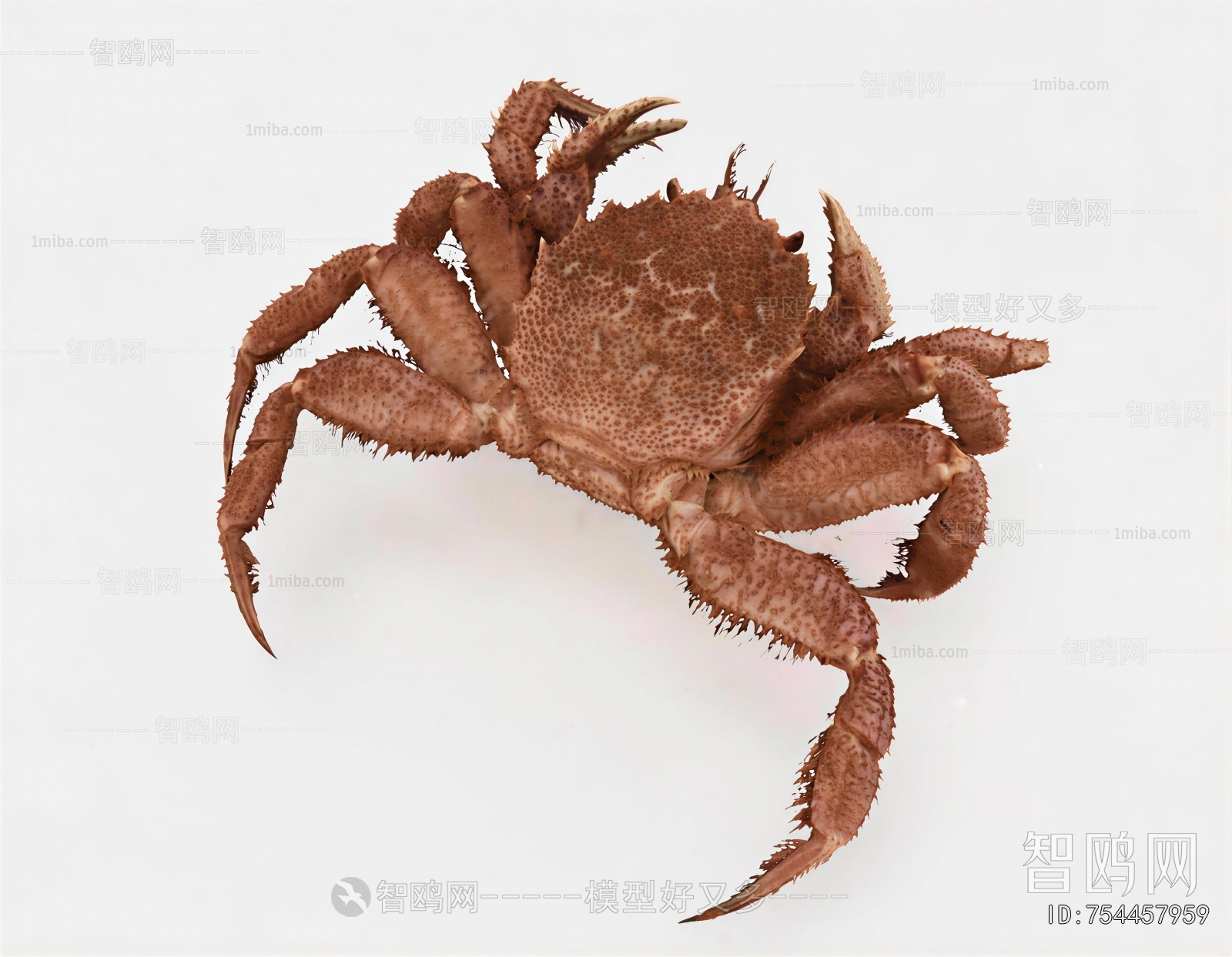 Modern Aquatic Animals