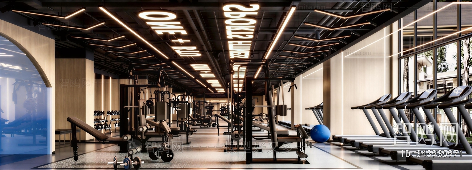 Modern Gym