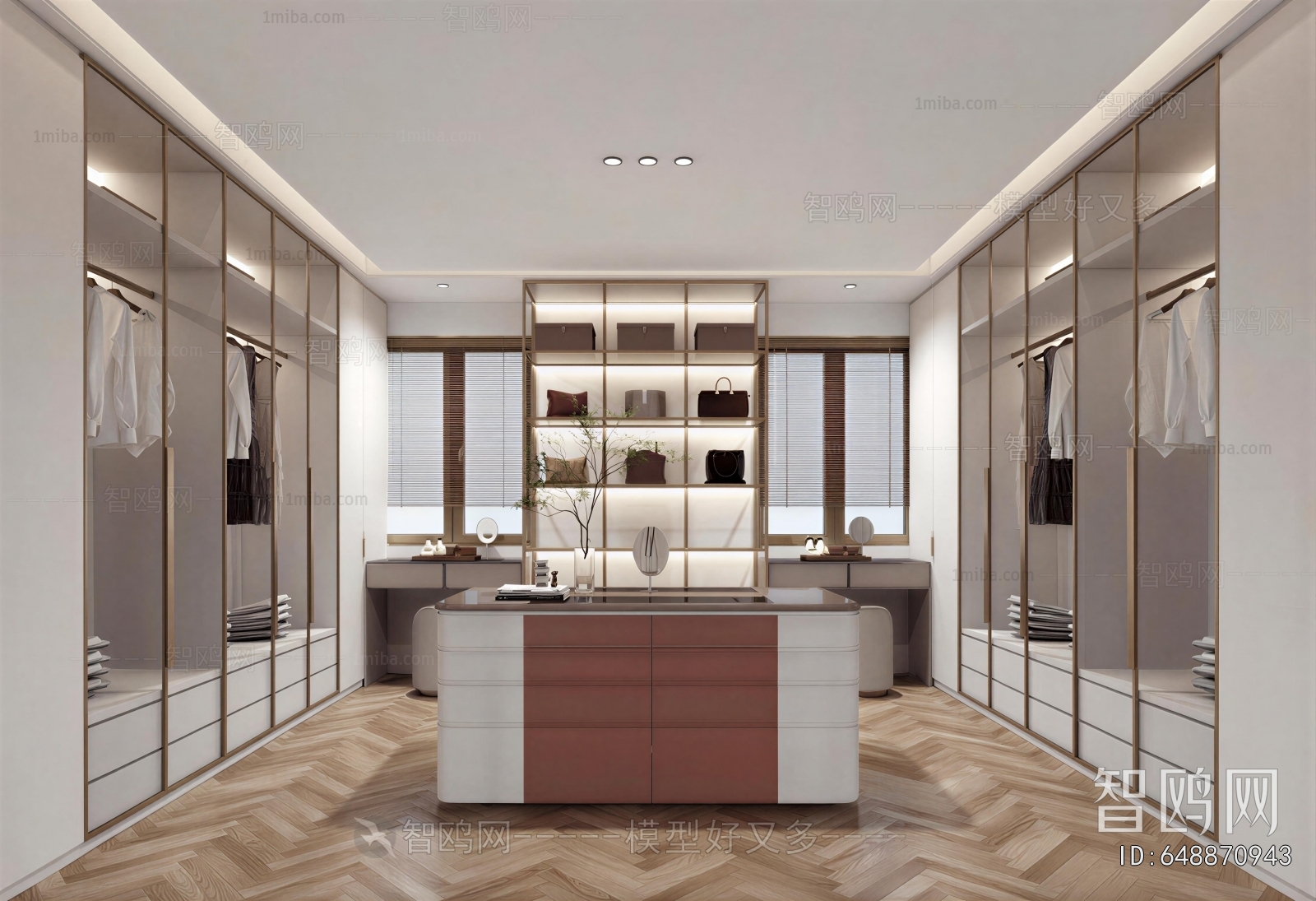Modern Clothes Storage Area