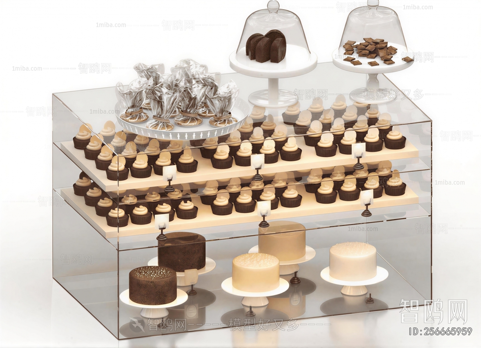Modern Showcase