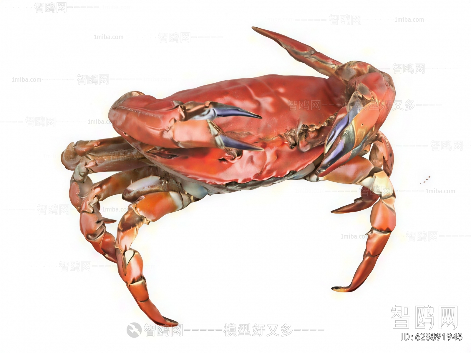 Modern Aquatic Product