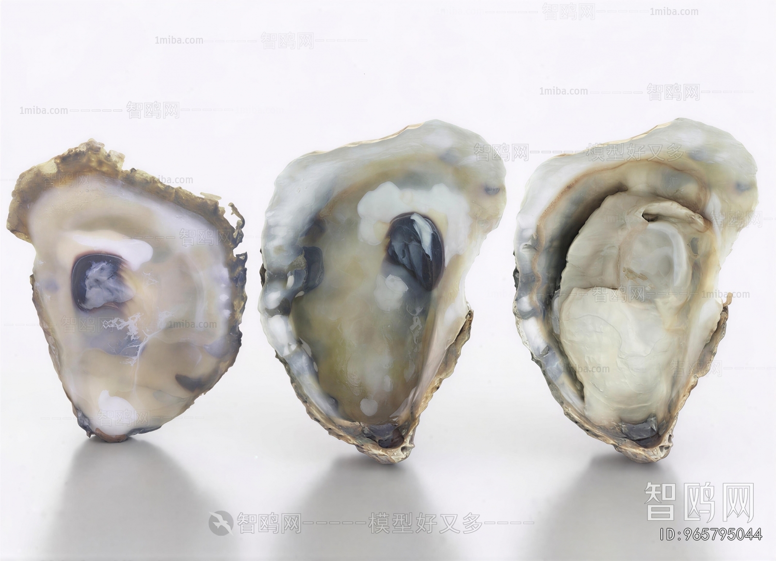 Modern Aquatic Product