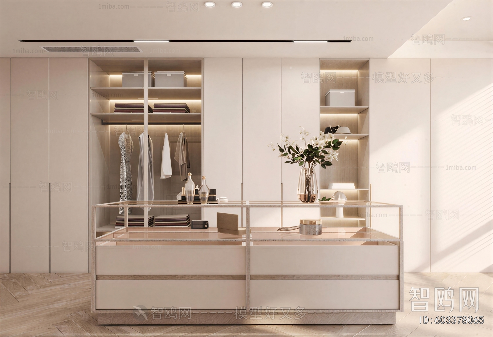 Modern Clothes Storage Area