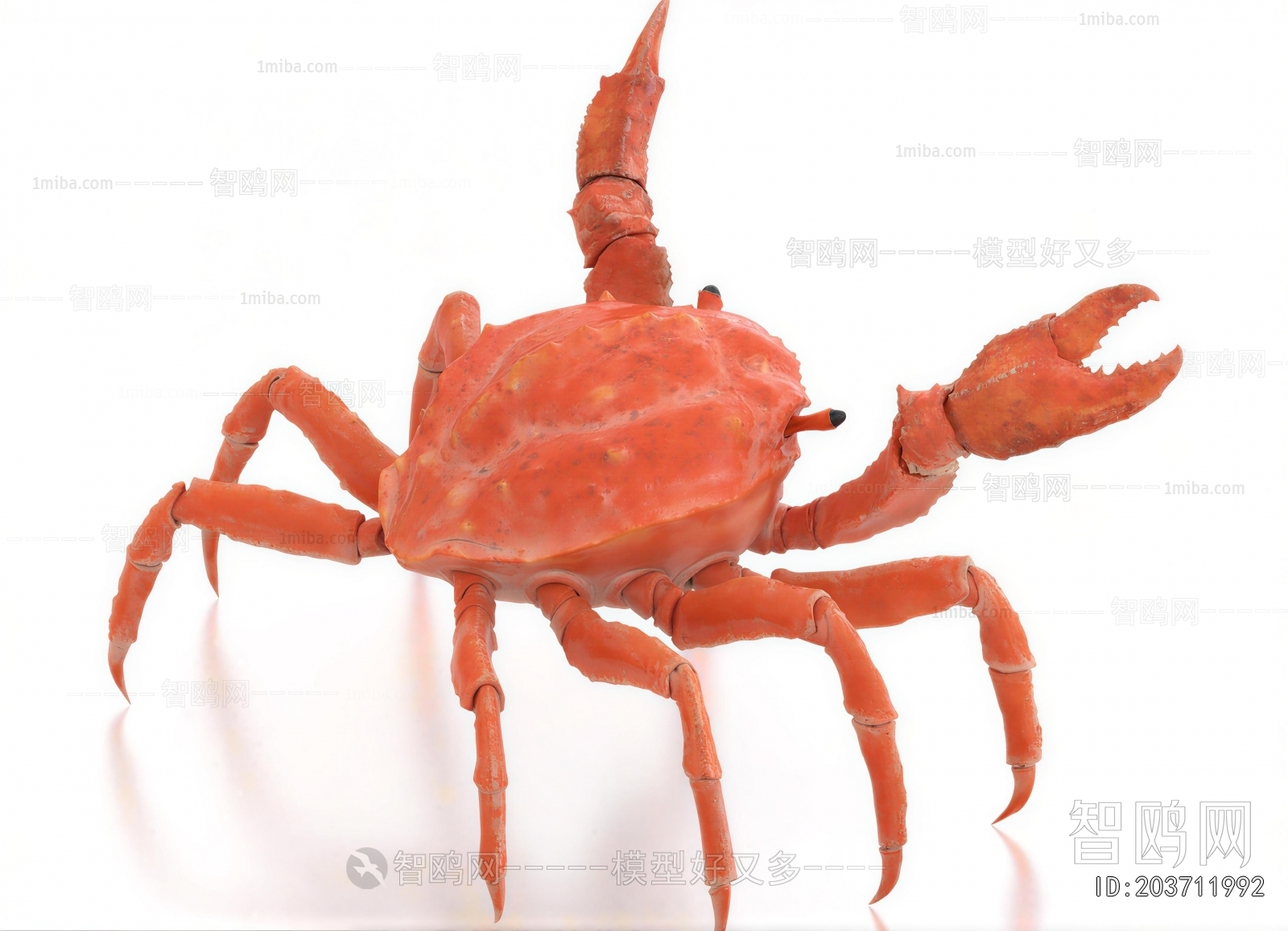 Modern Aquatic Animals