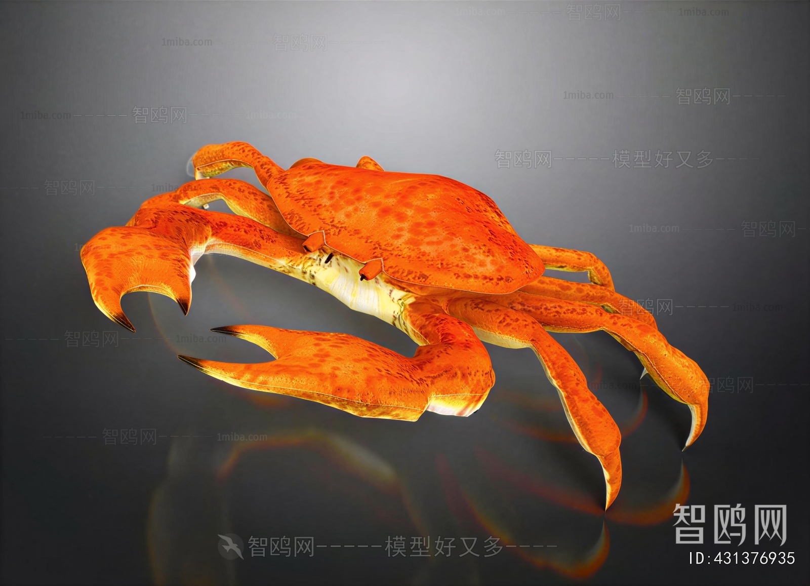 Modern Aquatic Animals