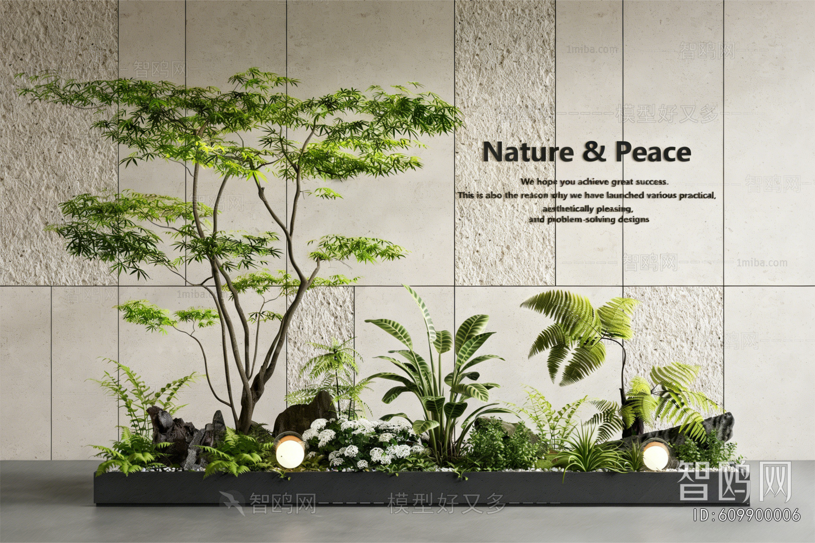 Modern Plant Landscaping