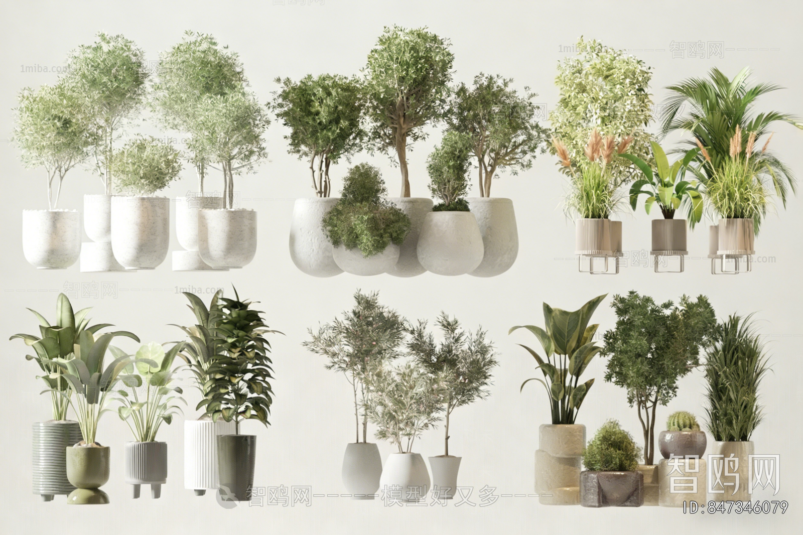 Modern Ground Green Plant Potted Plants