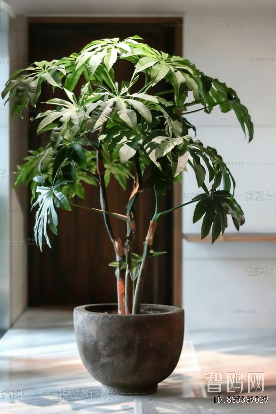 Modern Ground Green Plant Potted Plants
