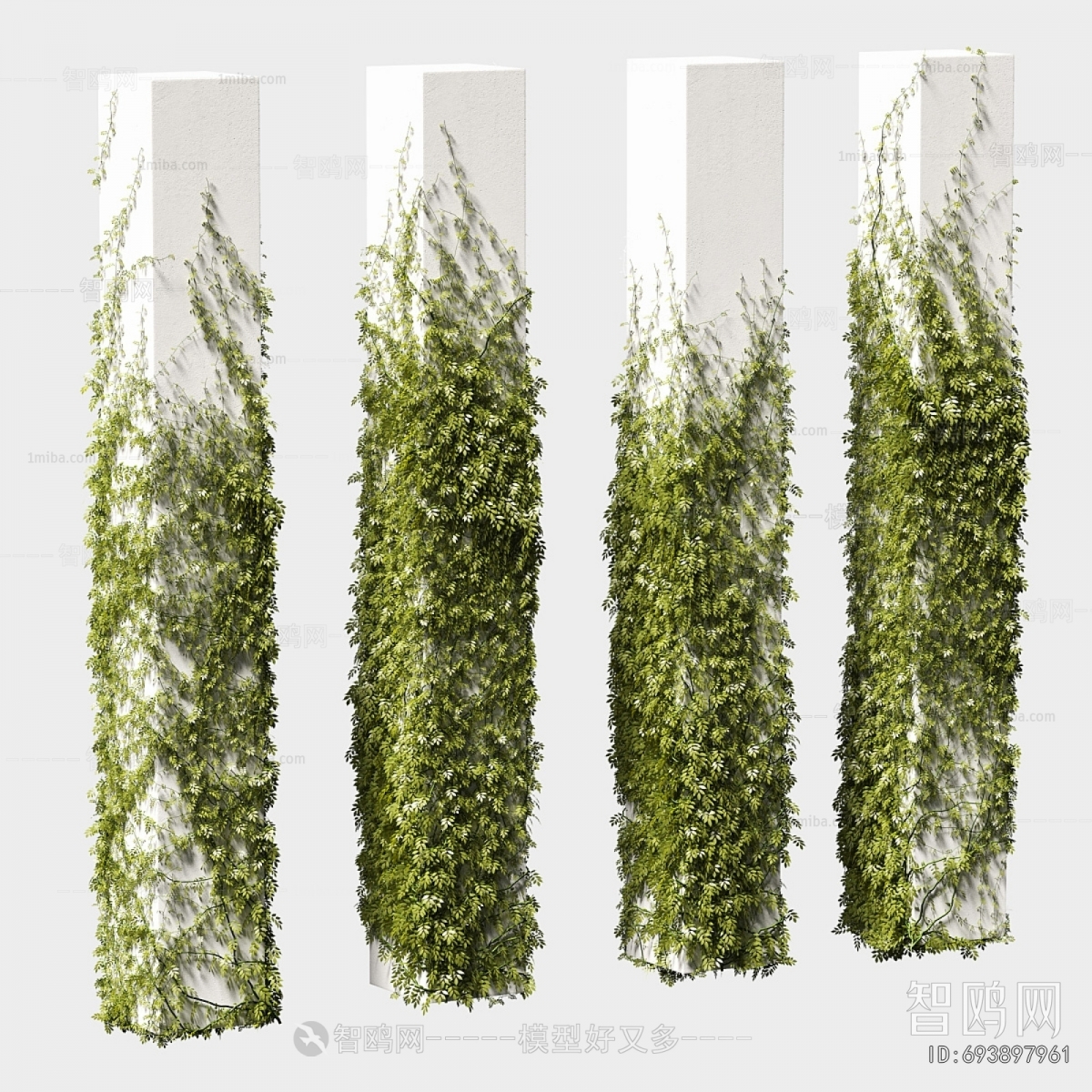 Modern Vine
