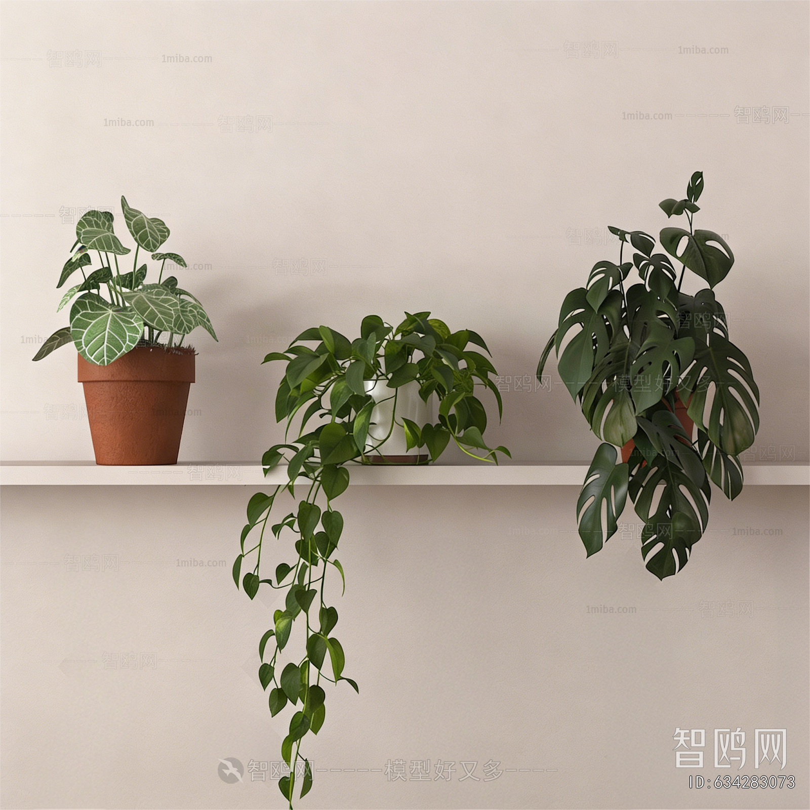 Modern Desktop Plant