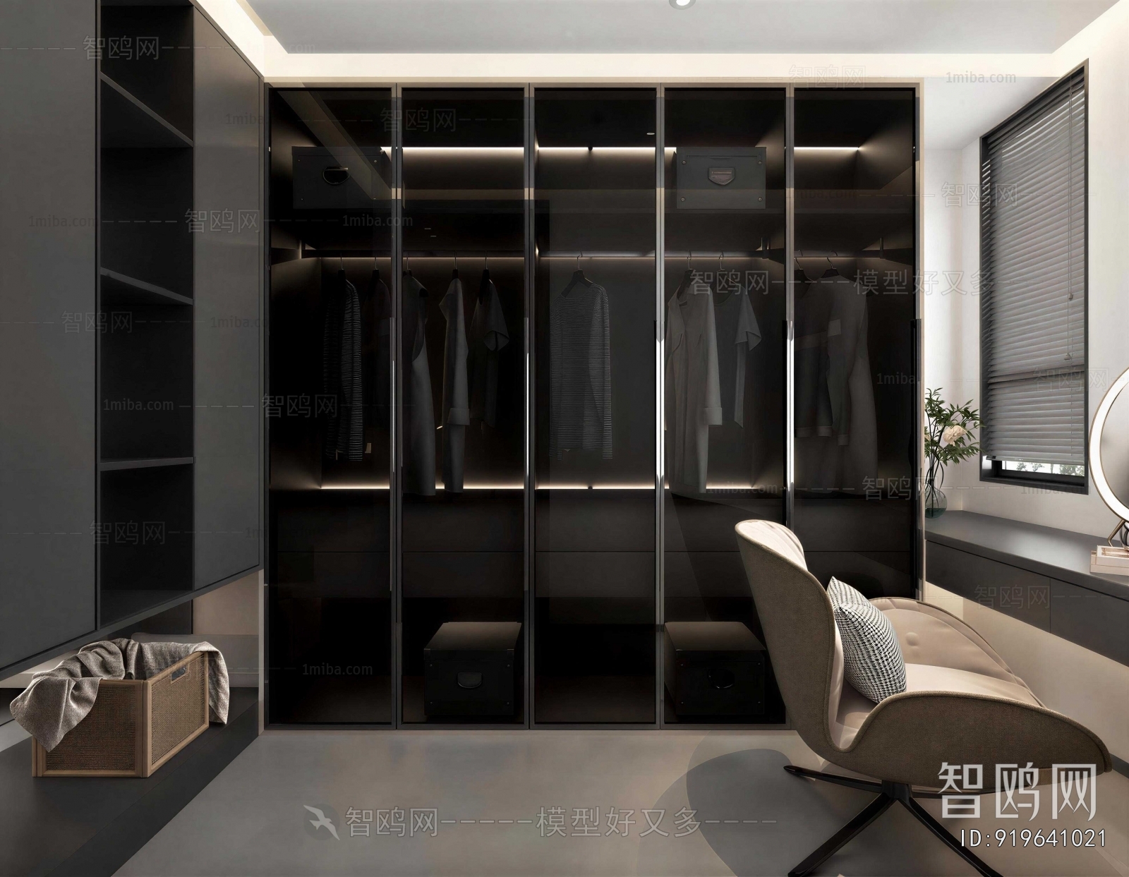 Modern Clothes Storage Area