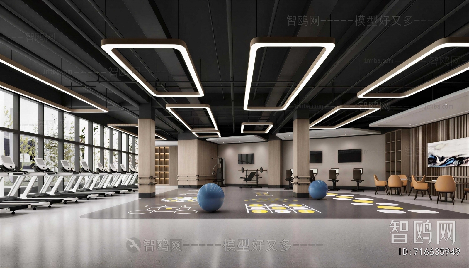 Modern Gym