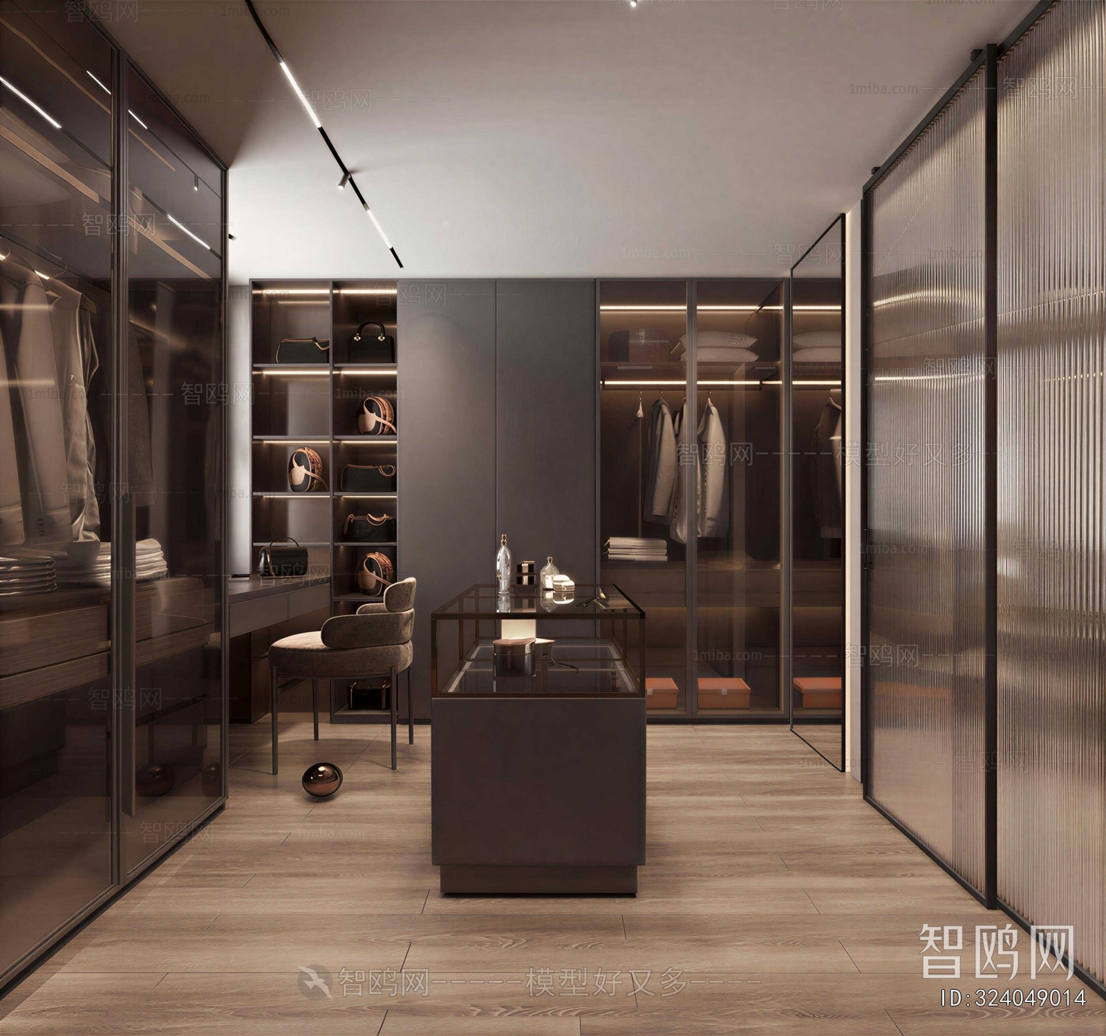 Modern Clothes Storage Area