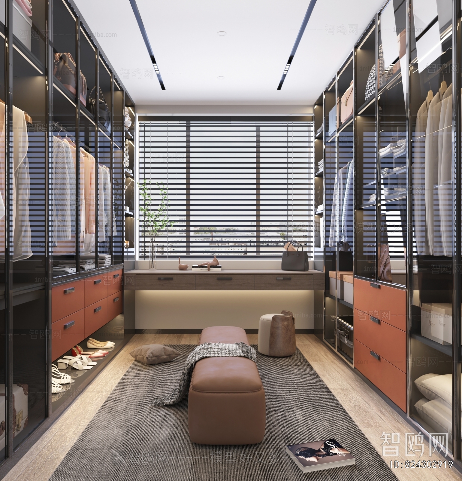 Modern Clothes Storage Area