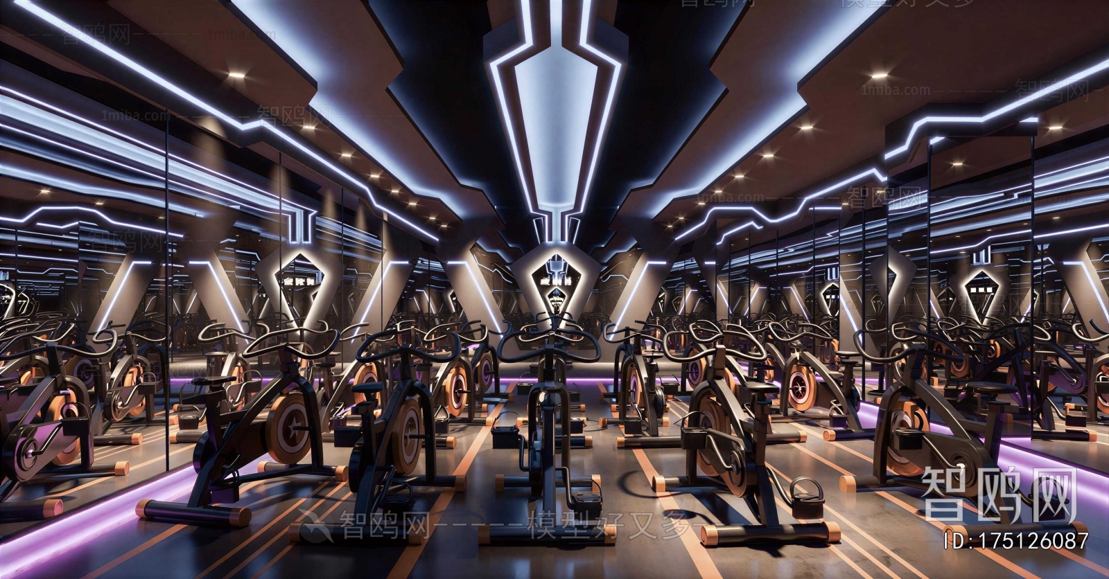 Modern Gym