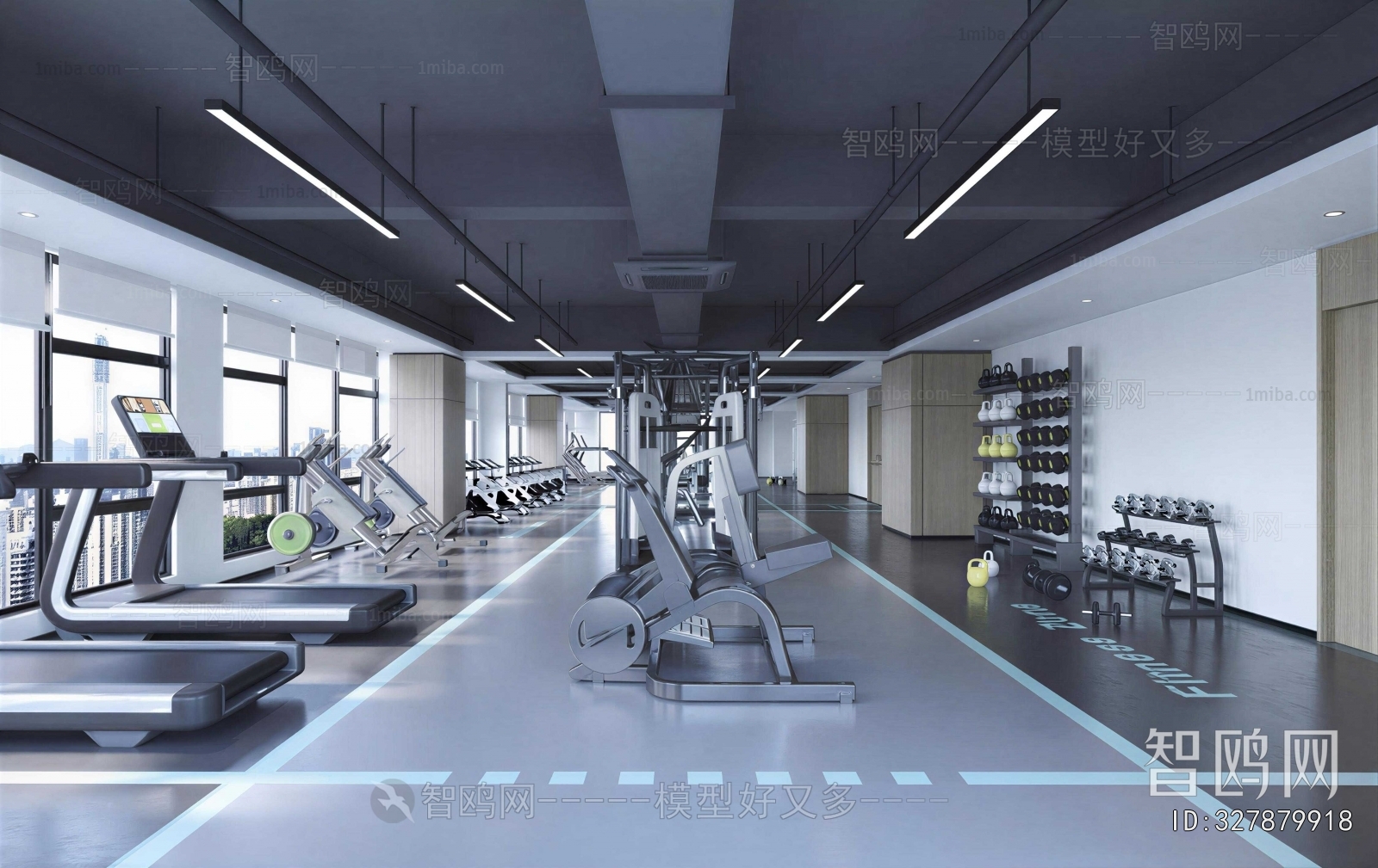 Modern Gym
