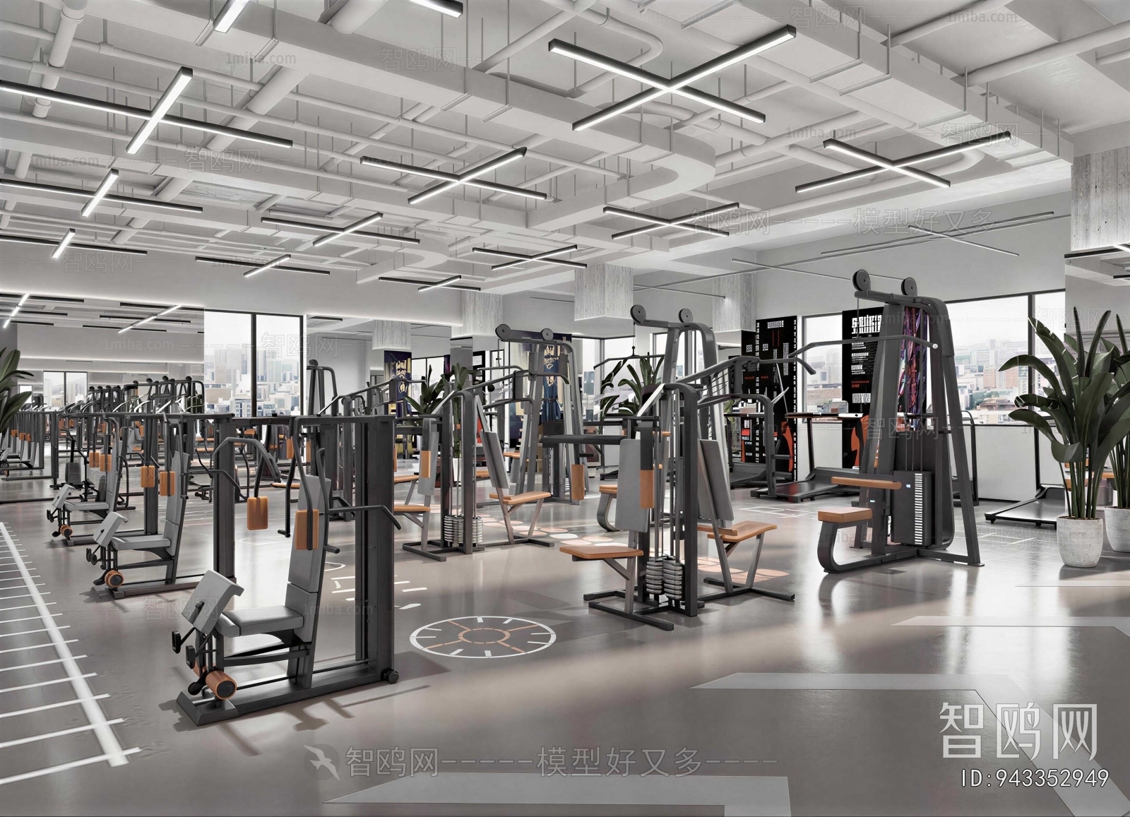 Modern Gym
