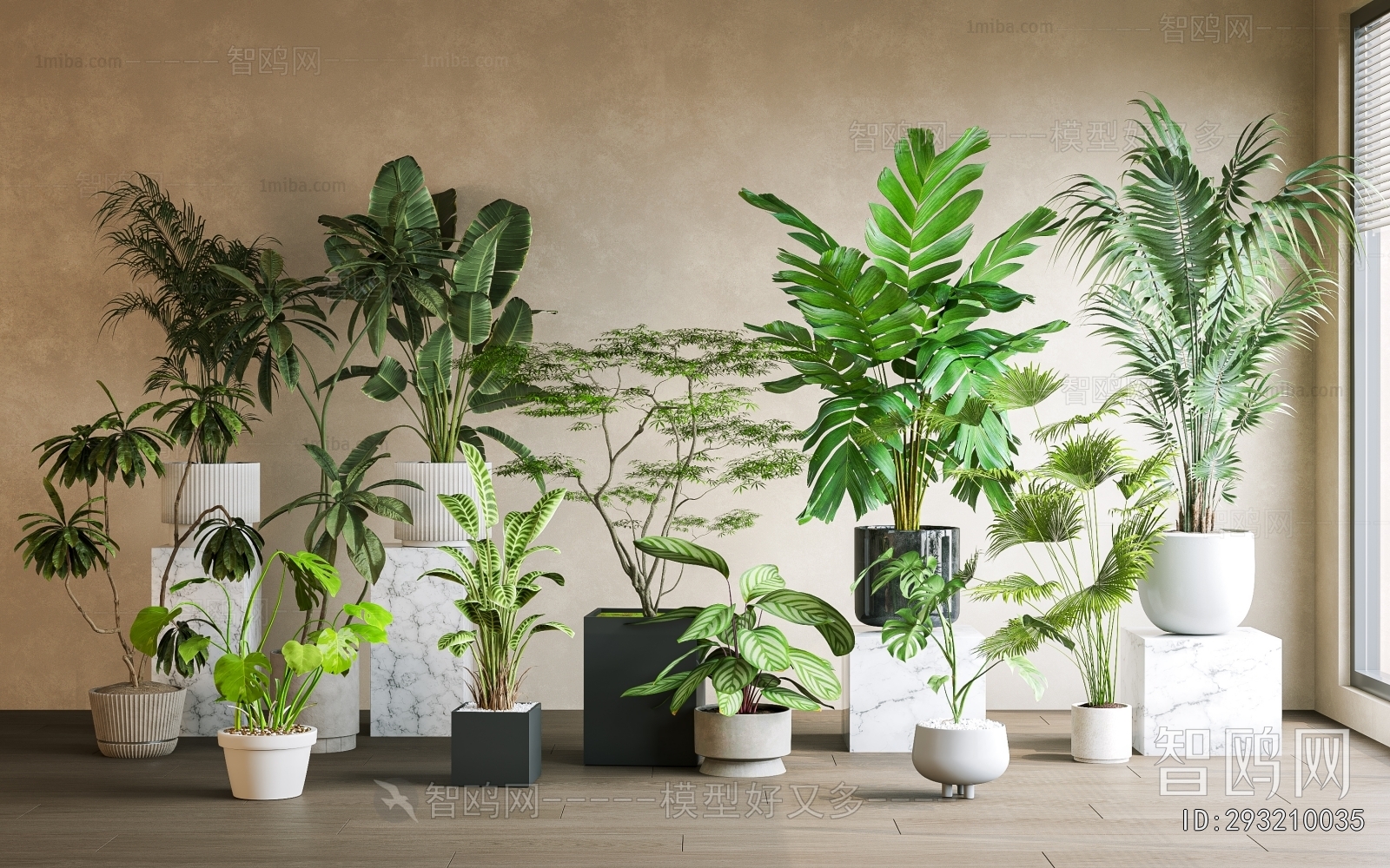 Modern Ground Green Plant Potted Plants