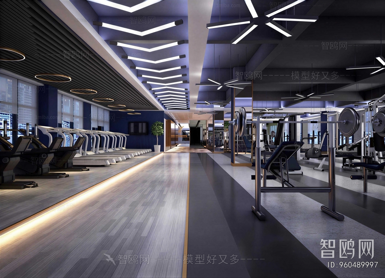 Modern Gym