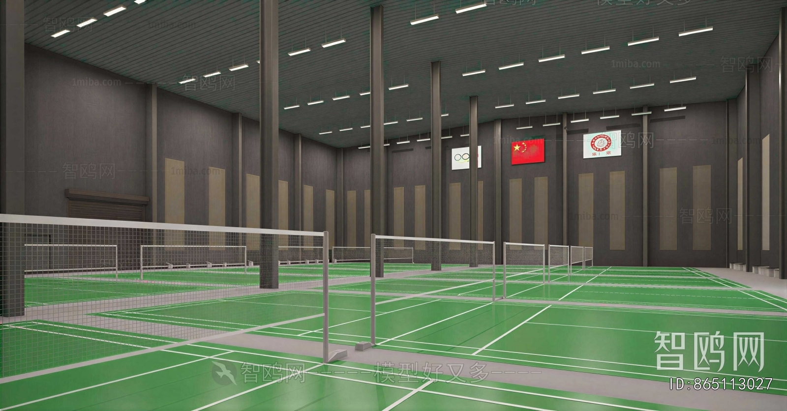 Modern Indoor Badminton Court