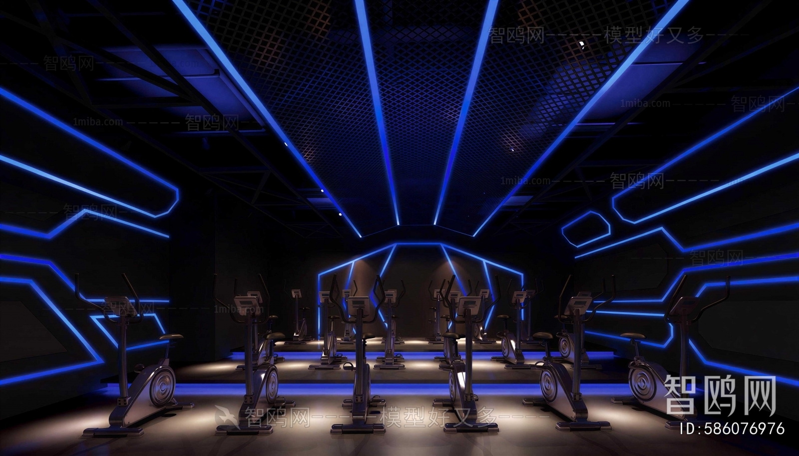 Modern Gym