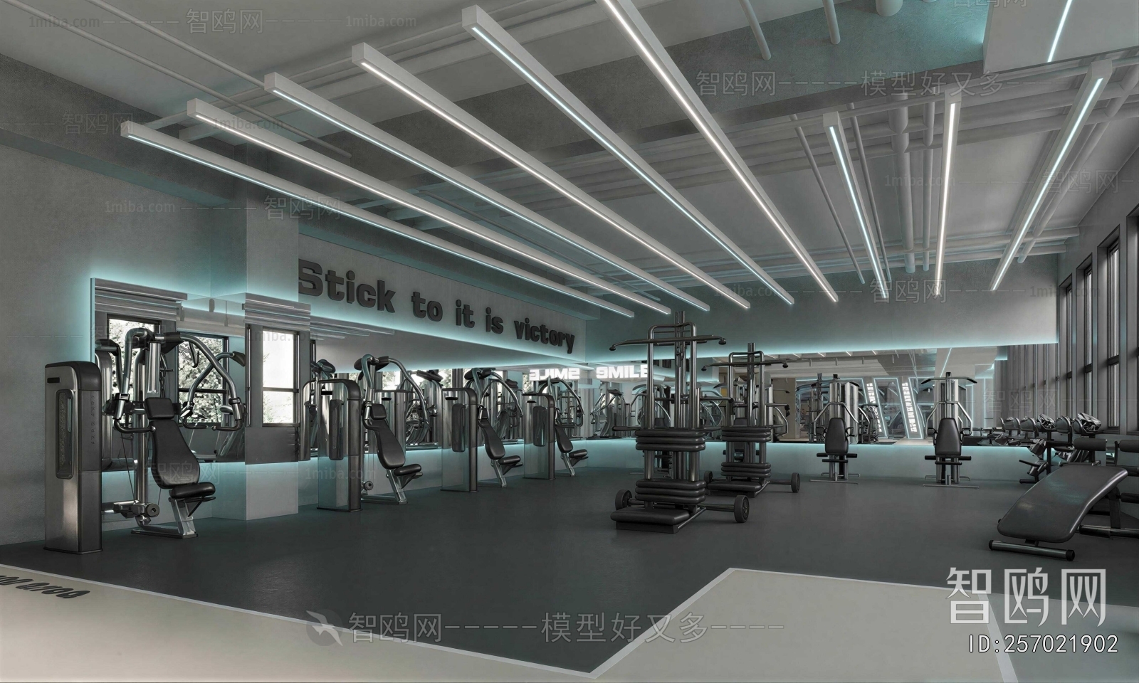 Modern Gym