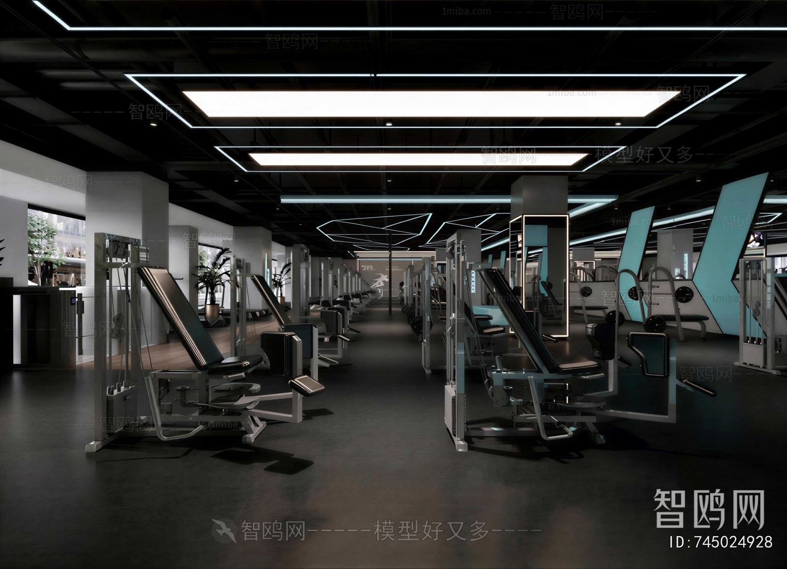 Modern Gym