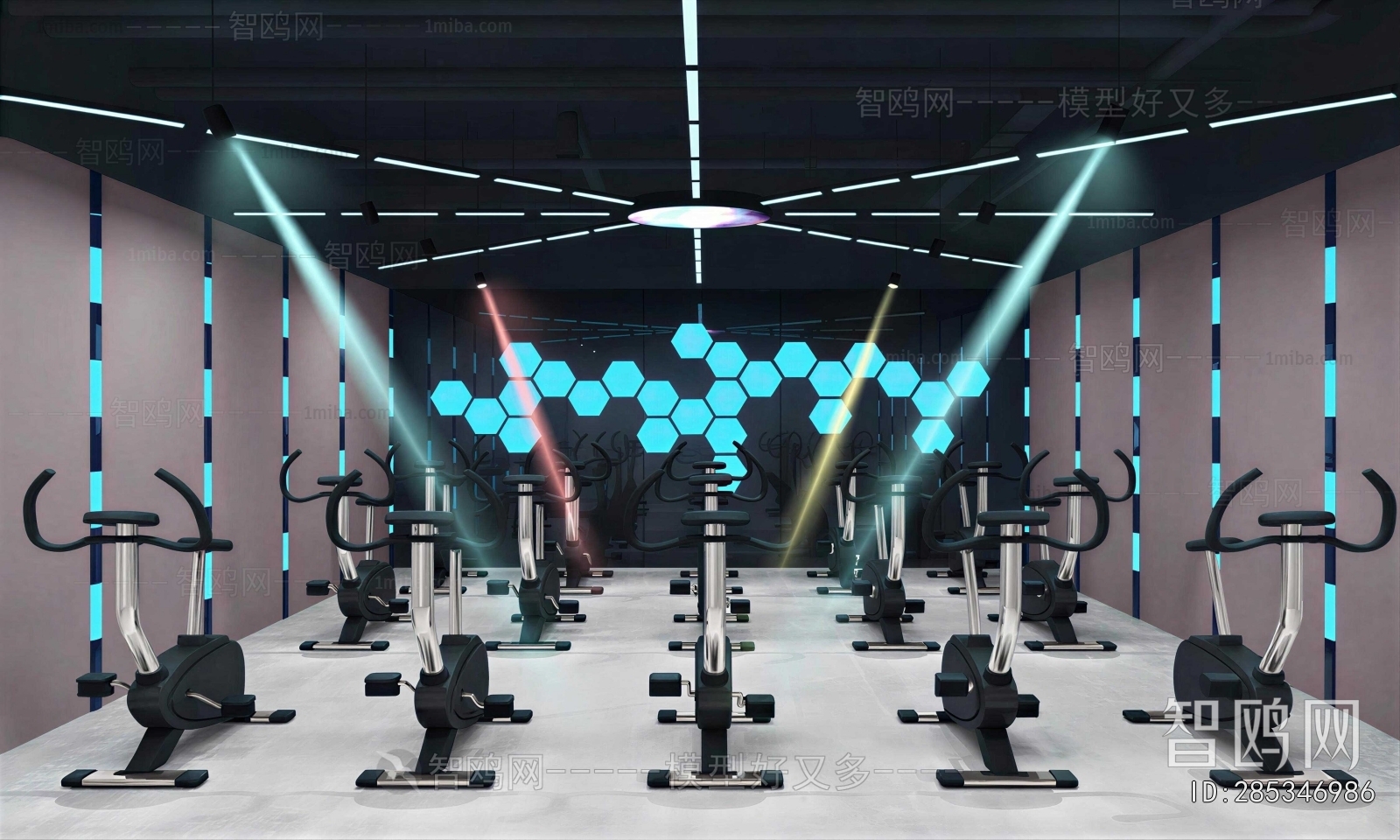 Modern Gym