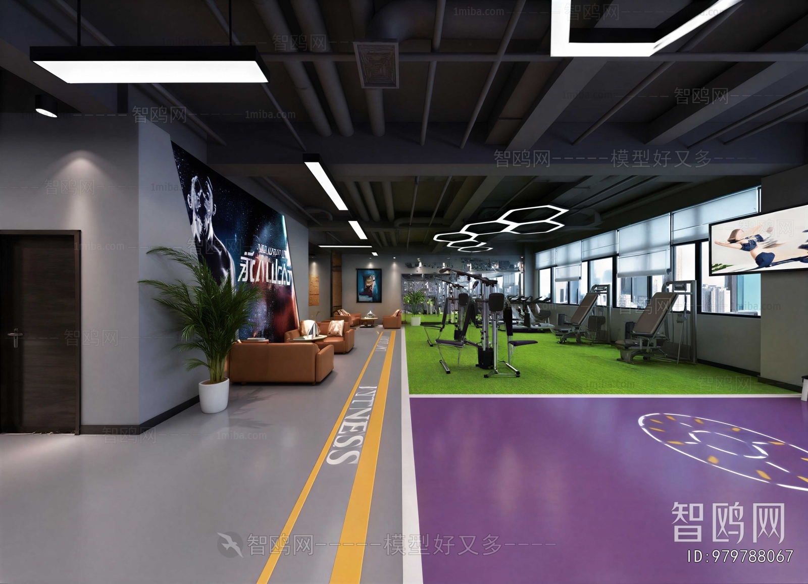 Modern Gym