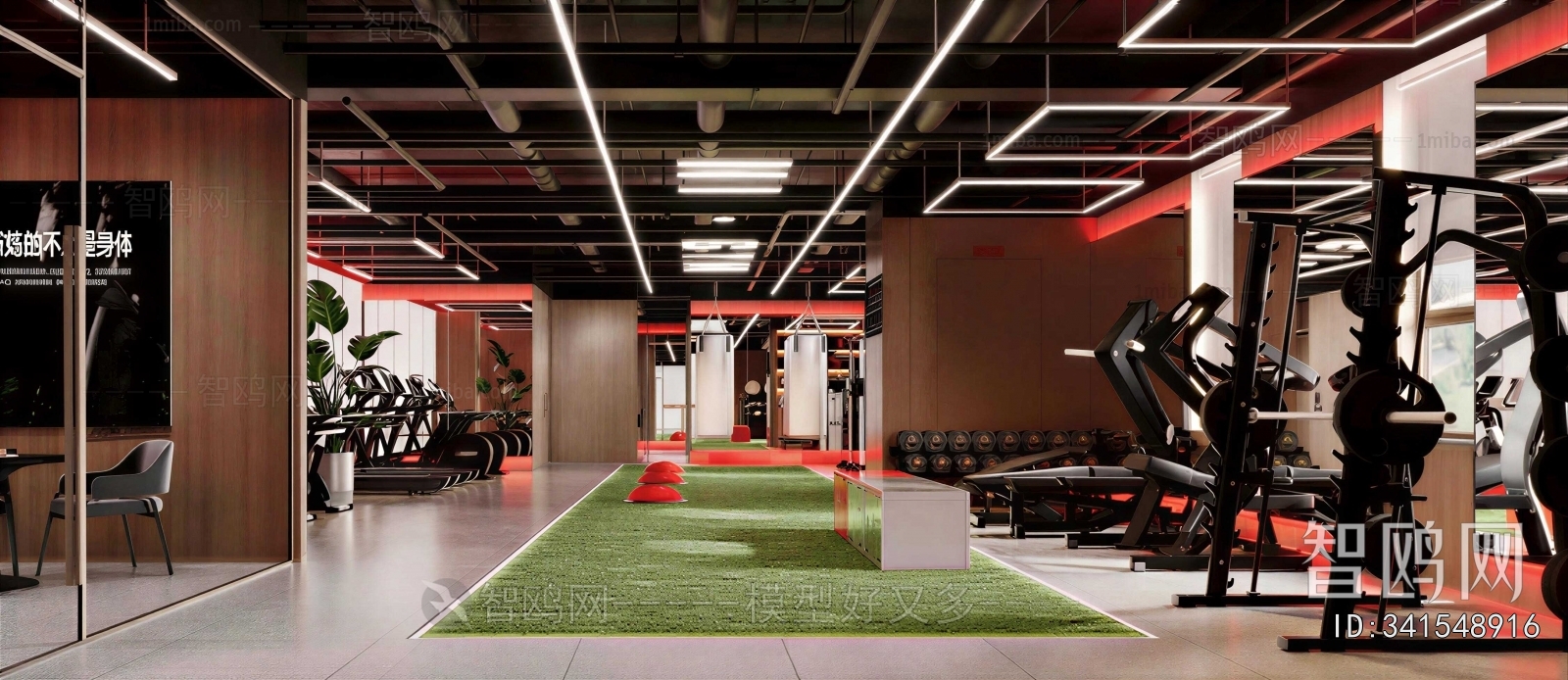 Modern Gym