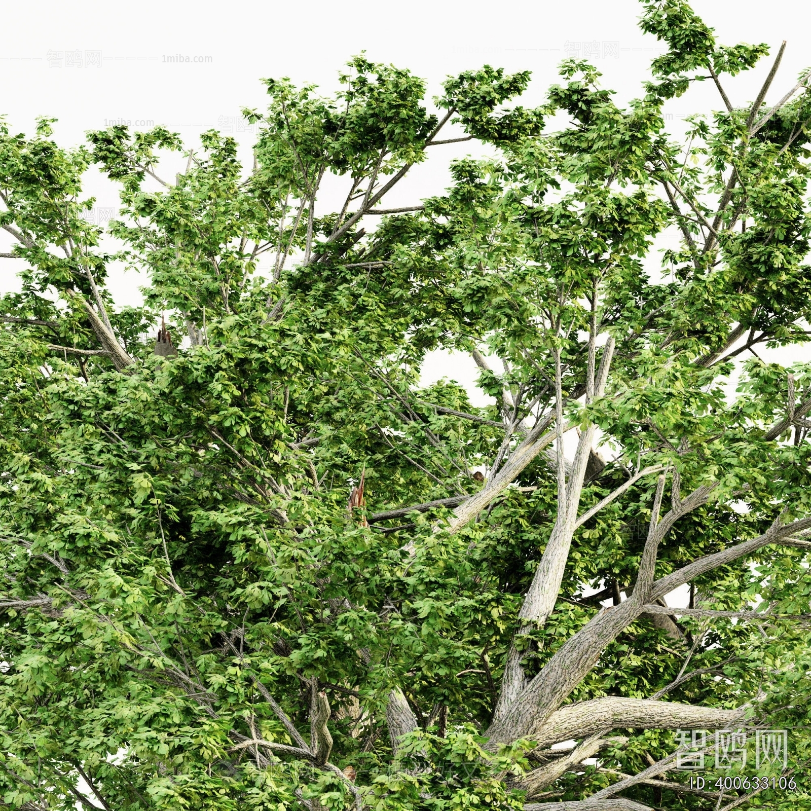 Modern Tree