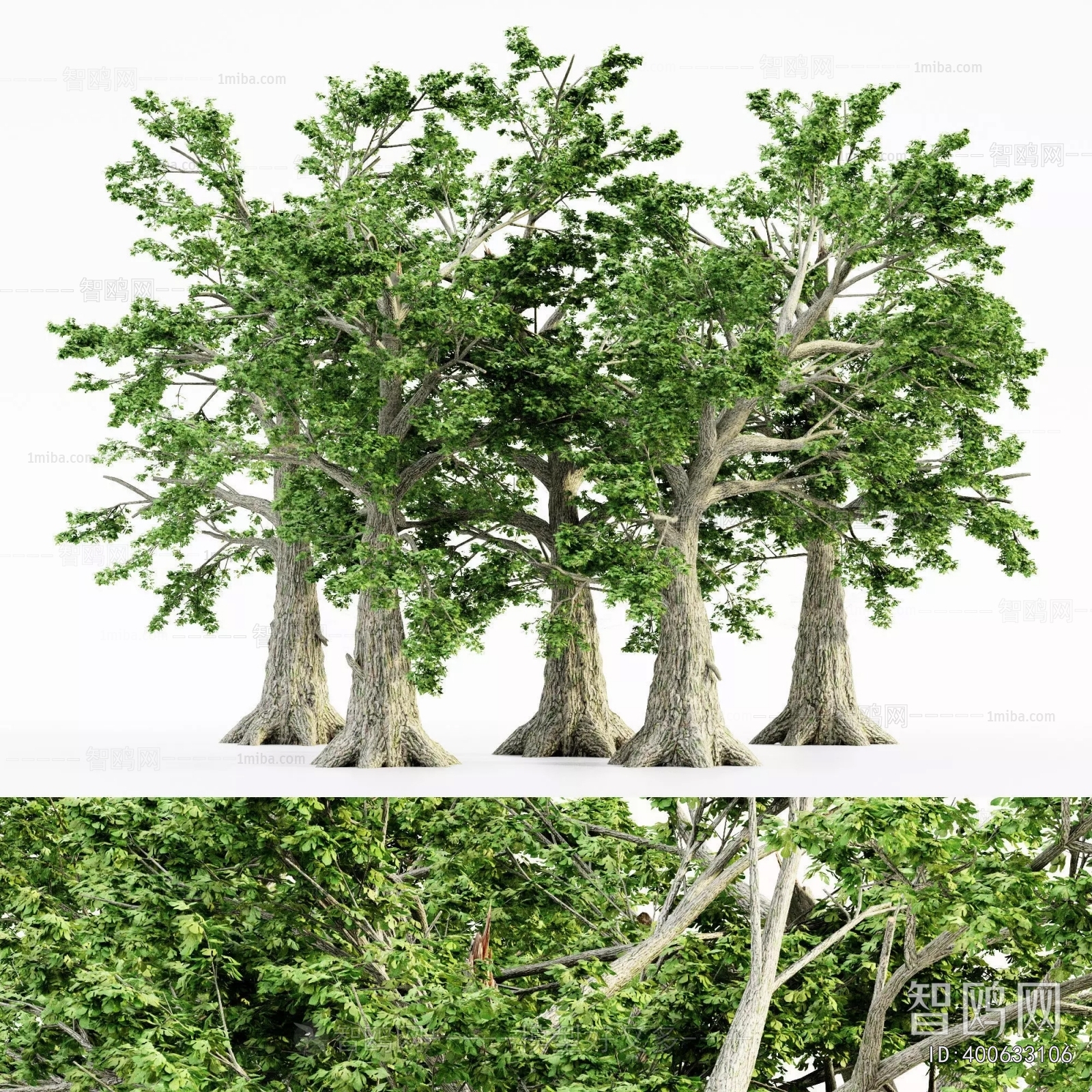 Modern Tree